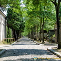 Tree-lined avenue of Père-Lachaise 